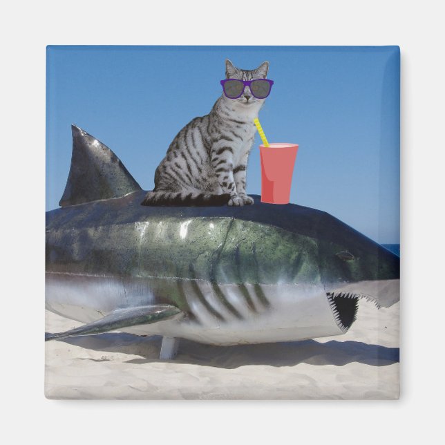 GATO DE PLAYA SOBRE LOS imanes DE LA DIVERSIÓN DE  (Frente)