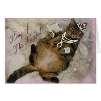 GATO DE PRINCESA ESPOLLADO RETIRANDO EN LA ESPALDA