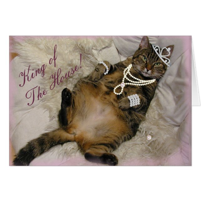 GATO DE PRINCESA ESPOLLADO RETIRANDO EN LA ESPALDA (Anverso (Horizontal))