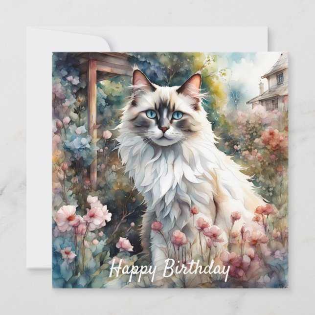 Gato de Ragdoll en inglés Garden Birday (Anverso)