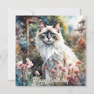 Gato de Ragdoll en inglés Garden Birday