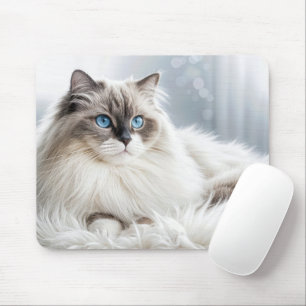 Gato de Ragdoll en una alfombra de fur