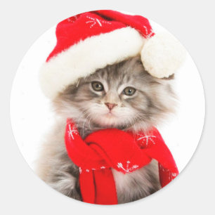 Gato de Santa Adorable Pegatina Redonda Clásica