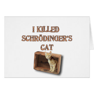 gato de schrodinger