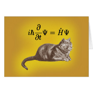 Gato de Schrodinger