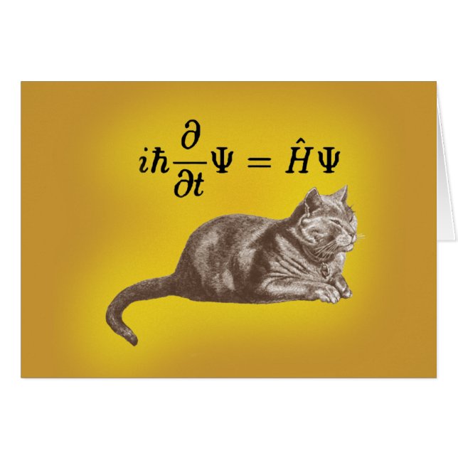 Gato de Schrodinger (Anverso (Horizontal))