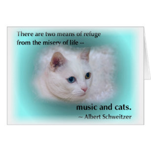 Gato de Schweitzer