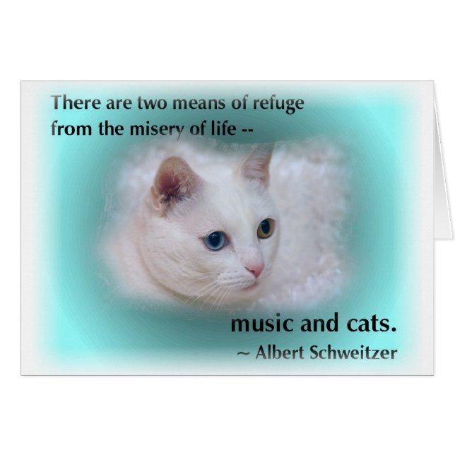 Gato de Schweitzer (Anverso (Horizontal))