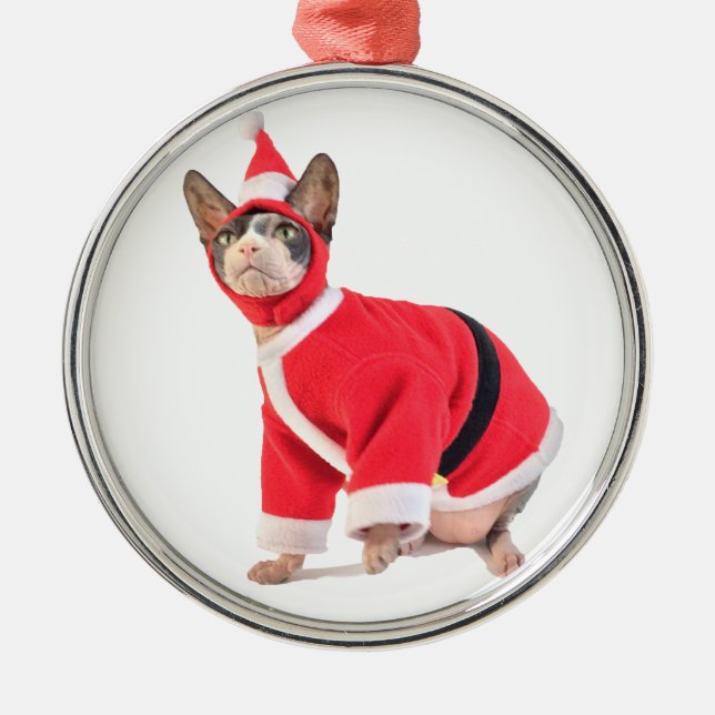 Gato de Sphynx en el ornamento del juego de Papá (Frente)