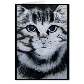 Gato de Tabby