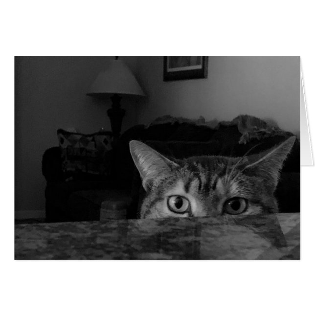 Gato de Tabby (Anverso (Horizontal))