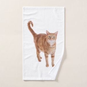 Gato de Tabby anaranjado
