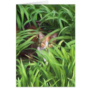 gato de tabby de ocultación en hojas