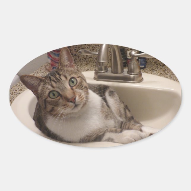 Gato de Tabby en Pegatinas rosados (Anverso)