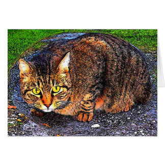 Gato de Tabby grande