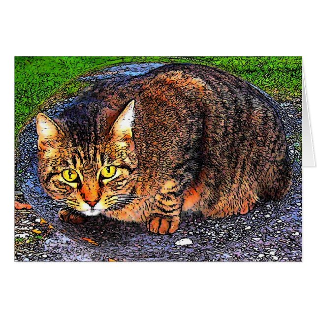 Gato de Tabby grande (Anverso (Horizontal))