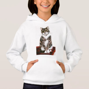 Gato de Tabby gris