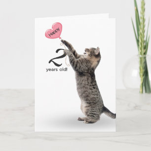 gato de tabby juguetón para la tarjeta de 2º cumpl