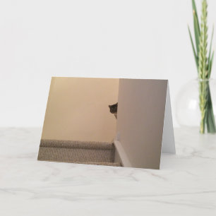Gato de Tabby - Mirando, tarjeta