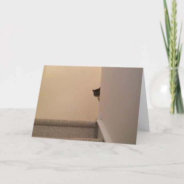 Gato de Tabby - Mirando, tarjeta (Anverso)