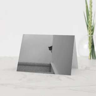 Gato de Tabby - Mirando, tarjeta