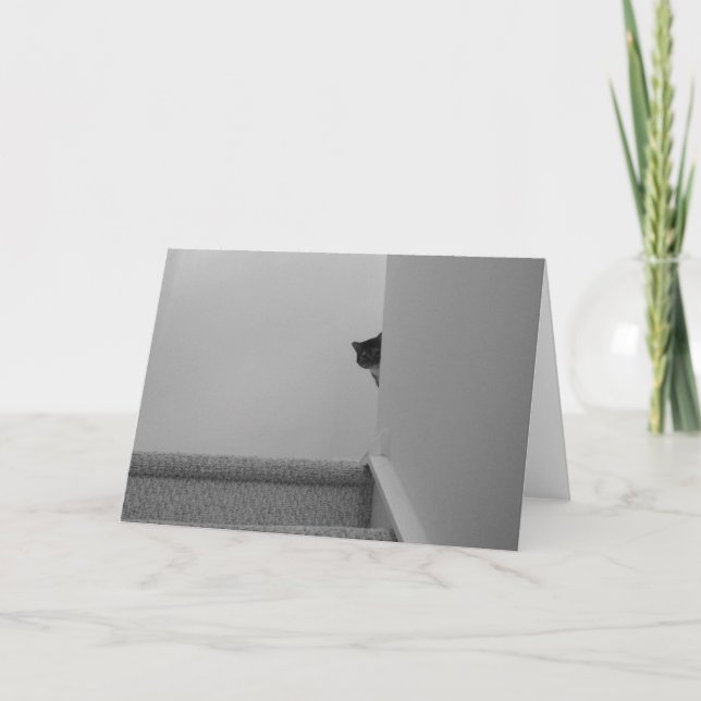 Gato de Tabby - Mirando, tarjeta (Anverso)