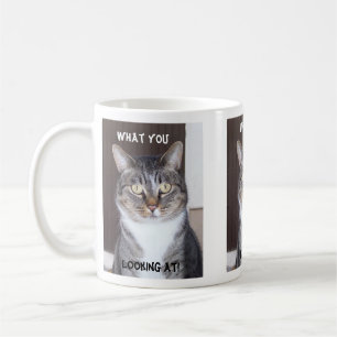 Gato de Tabby qué usted, mirando la taza de café