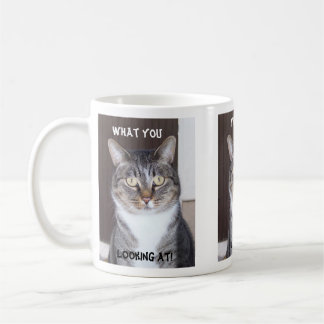 Gato de Tabby qué usted, mirando la taza de café