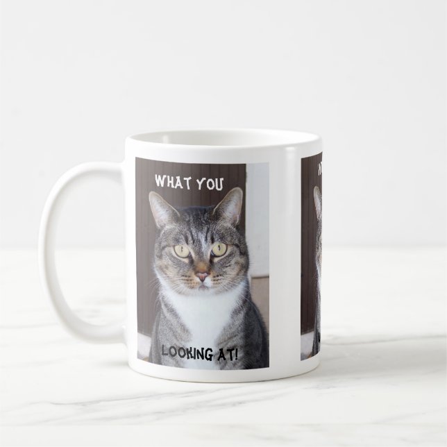 Gato de Tabby qué usted, mirando la taza de café (Izquierda)