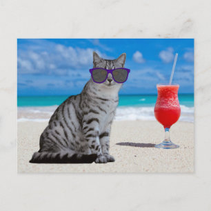 GATO DE TABBY SOLUCIONA EN LAS TARJETAS POSTALES D