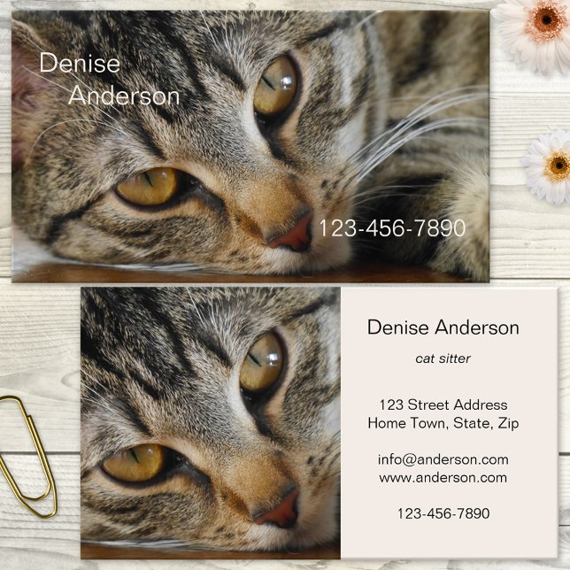 Gato de Tabby - Tarjeta de visita en el sitio del  (Business card featuring a lovely tabby cat. Great for a cat sitter, cat rescue, animal shelter)
