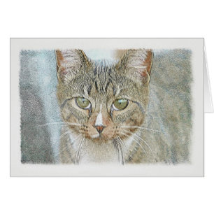 Gato de tabla