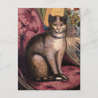 Gato de tabla mascota con tarjeta postal de cinta