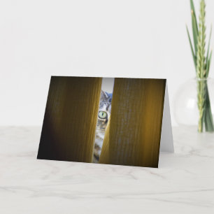 Gato de tabla, tarjeta