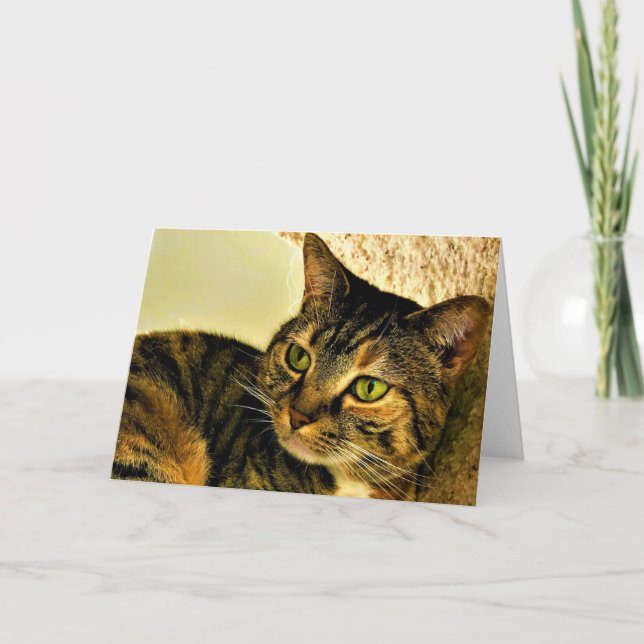 Gato de tabla, tarjeta (Anverso)