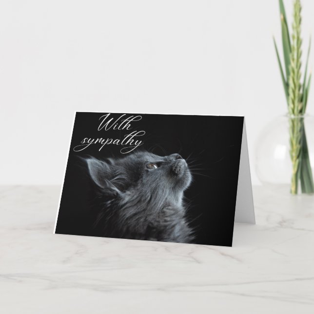 Gato de tarjeta de simpatía (Anverso)