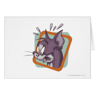 Gato de Tom Scaredy