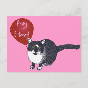 Gato de Tuxedo con tarjetas postales de cumpleaños