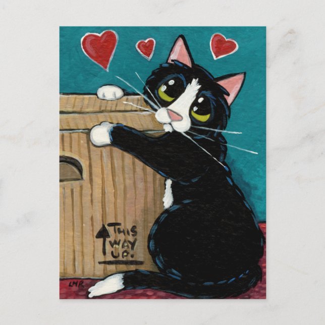 Gato de Tuxedo enamorado de postal de caja (Anverso)