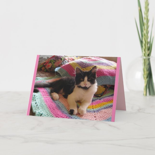 Gato de Tuxedo muerto durmiendo en tarjeta de gato (Anverso)