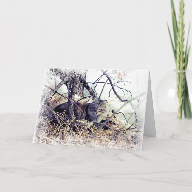 Gato de Woodland en tarjeta de vacaciones de Navid (Anverso)