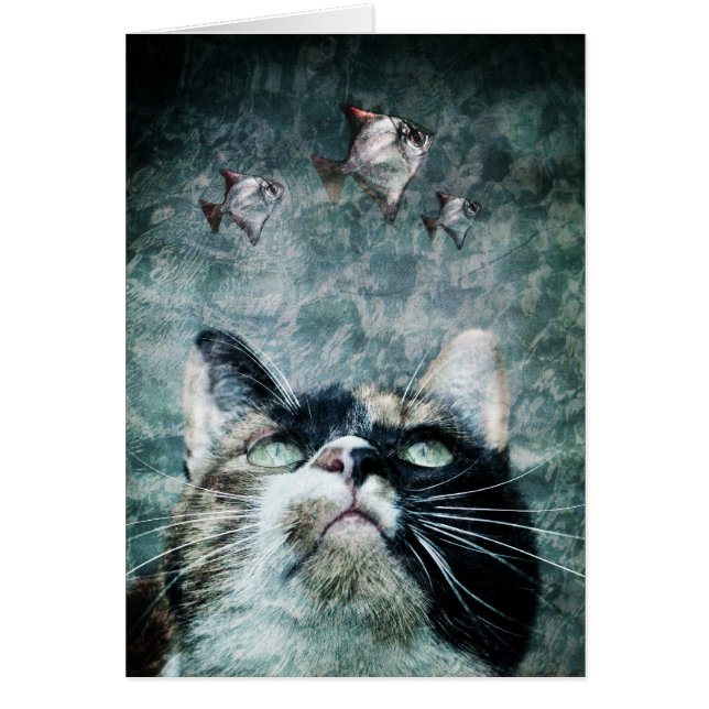 Gato del abismo - tarjeta (Frente)