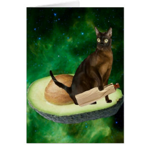 gato del aguacate