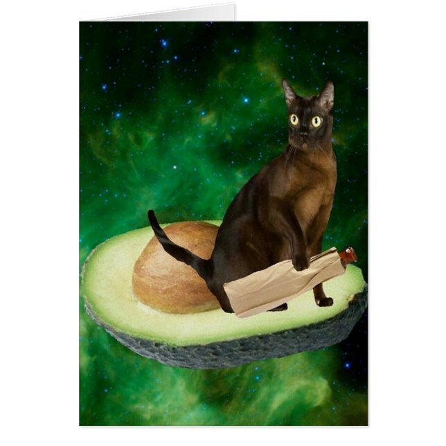 gato del aguacate (Frente)