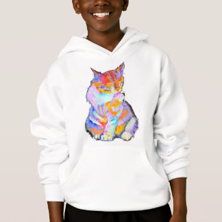 Gato del arco iris