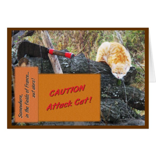 Gato del ataque (Anverso (Horizontal))