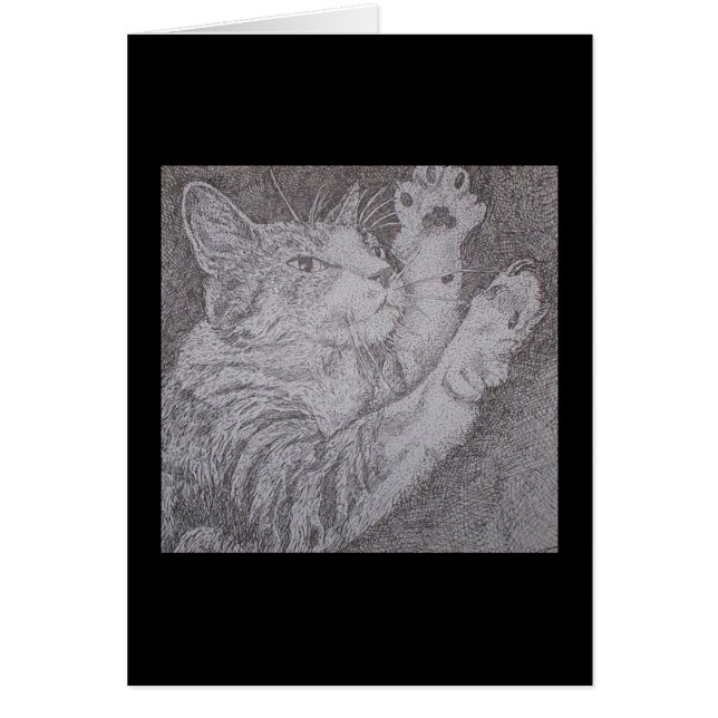 gato del baile (Frente)