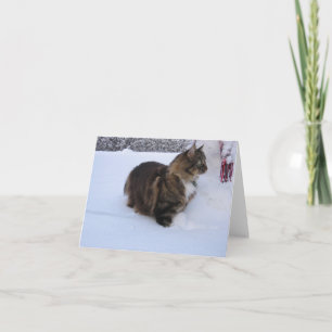 gato del bosque noruego en la nieve