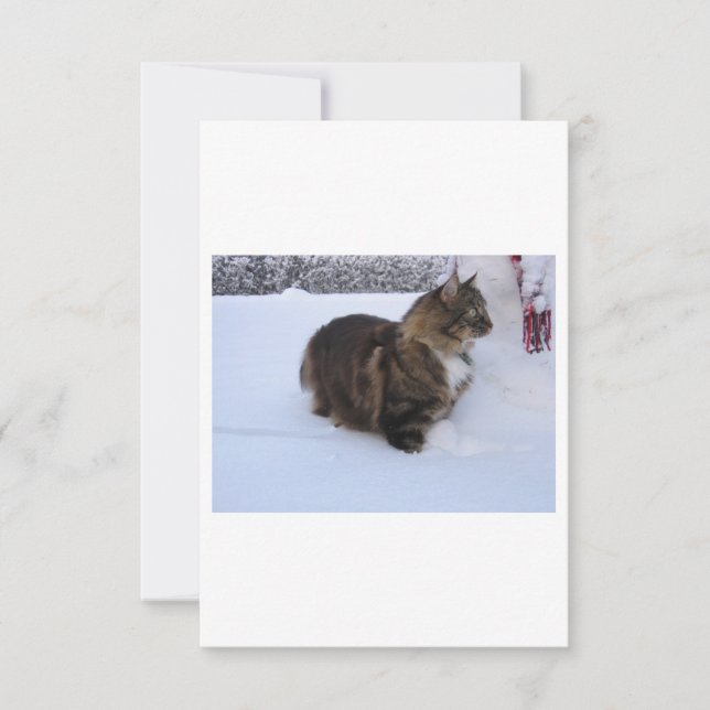gato del bosque noruego en la nieve (Anverso)