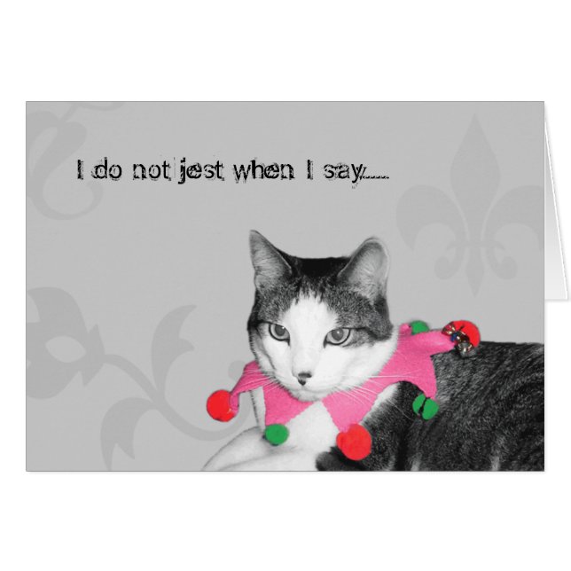 Gato del bufón (Anverso (Horizontal))